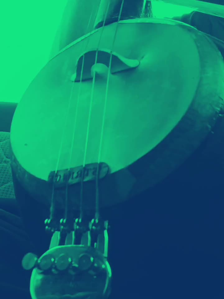 کمانچه|سازهای سنتی|تهران, تهرانسر مرکزی|دیوار