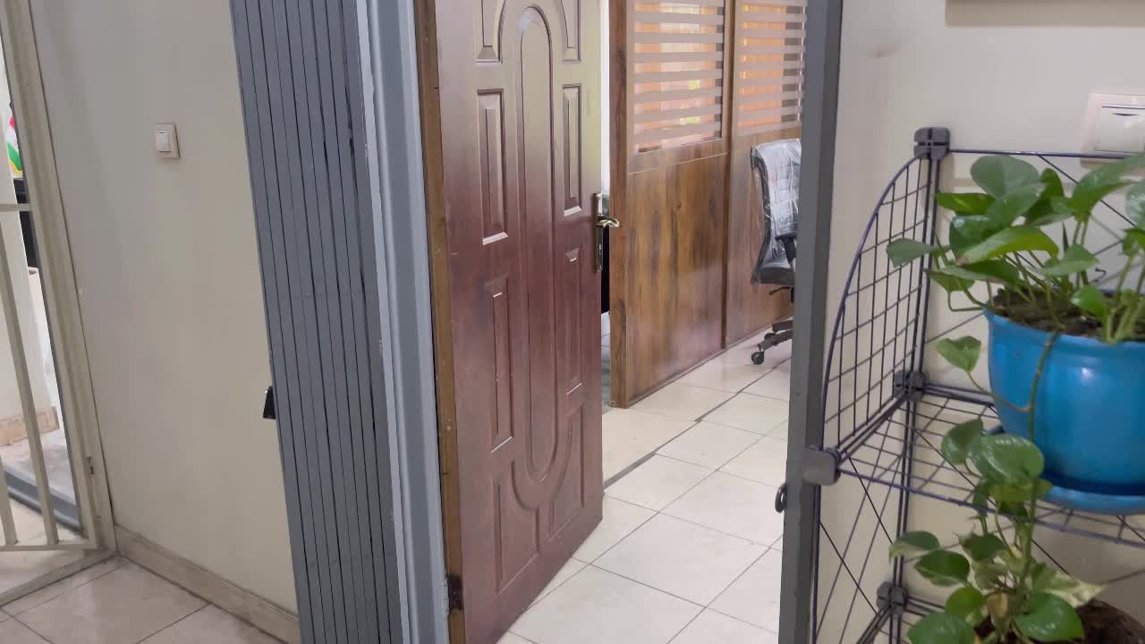 (دارالترجمه) دفتر ترجمه رسمی ۱۶۵۹ (ساشا)|خدمات پیشه و مهارت|تهران, نصرت|دیوار