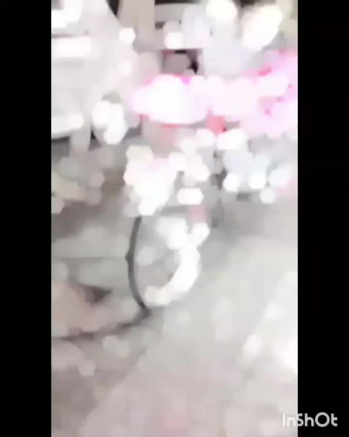 هندا 125|موتورسیکلت|مشهد, شهید بصیر|دیوار