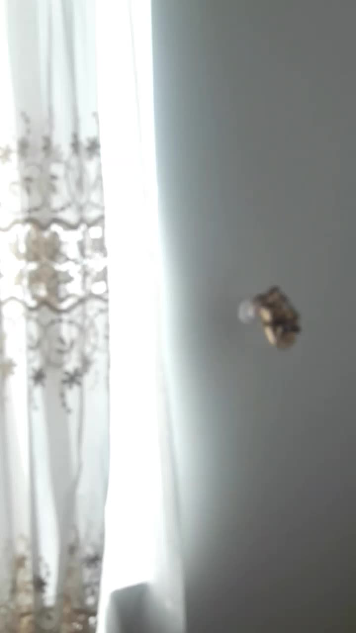 اجاره|اجارهٔ آپارتمان|اصفهان, اصفهانک|دیوار