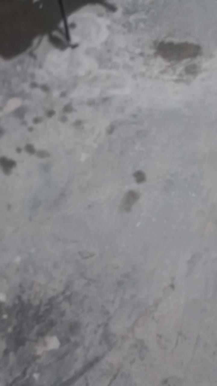 اجاره روزانه/هفتگی/ماهانه آپارتمان ۶۰ متری|اجارهٔ کوتاه‌مدت آپارتمان و سوئیت|گنبد کاووس, |دیوار