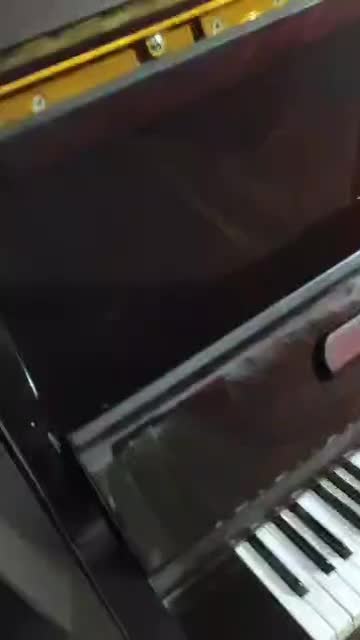 پیانوآکوستیک ژاپن شیراز|پیانو، کیبورد، آکاردئون|صدرا-فارس, فاز ۱|دیوار