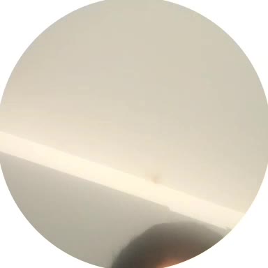 تراکتور باغی  مدل۱۴۰۱|خودرو سنگین|تیکمه داش, |دیوار