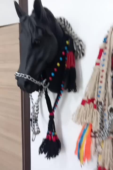 افسار اسب کله اوسار  کله گیر اسب|اسب و تجهیزات اسبسواری|ایلام, |دیوار