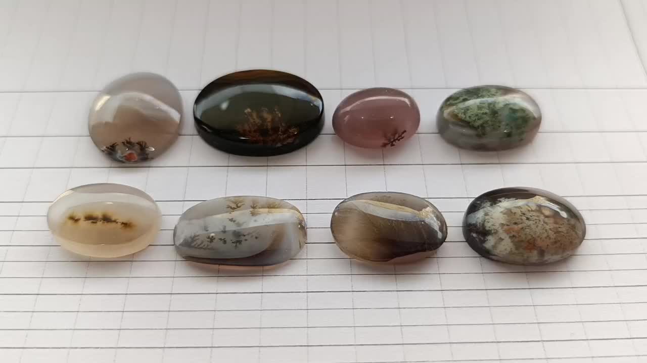 شجر|جواهرات|تاکستان, |دیوار