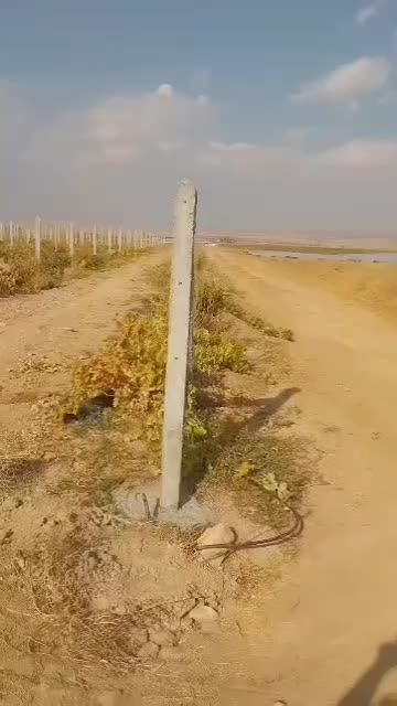 فنس کشی وداربست باغات بابهترین قیمت وکیفیت - حیدری|خدمات باغبانی و درختکاری|تاکستان, |دیوار