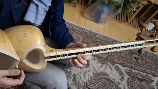 تار سفارشی ساخت|سازهای سنتی|تهران, شکیبا|دیوار