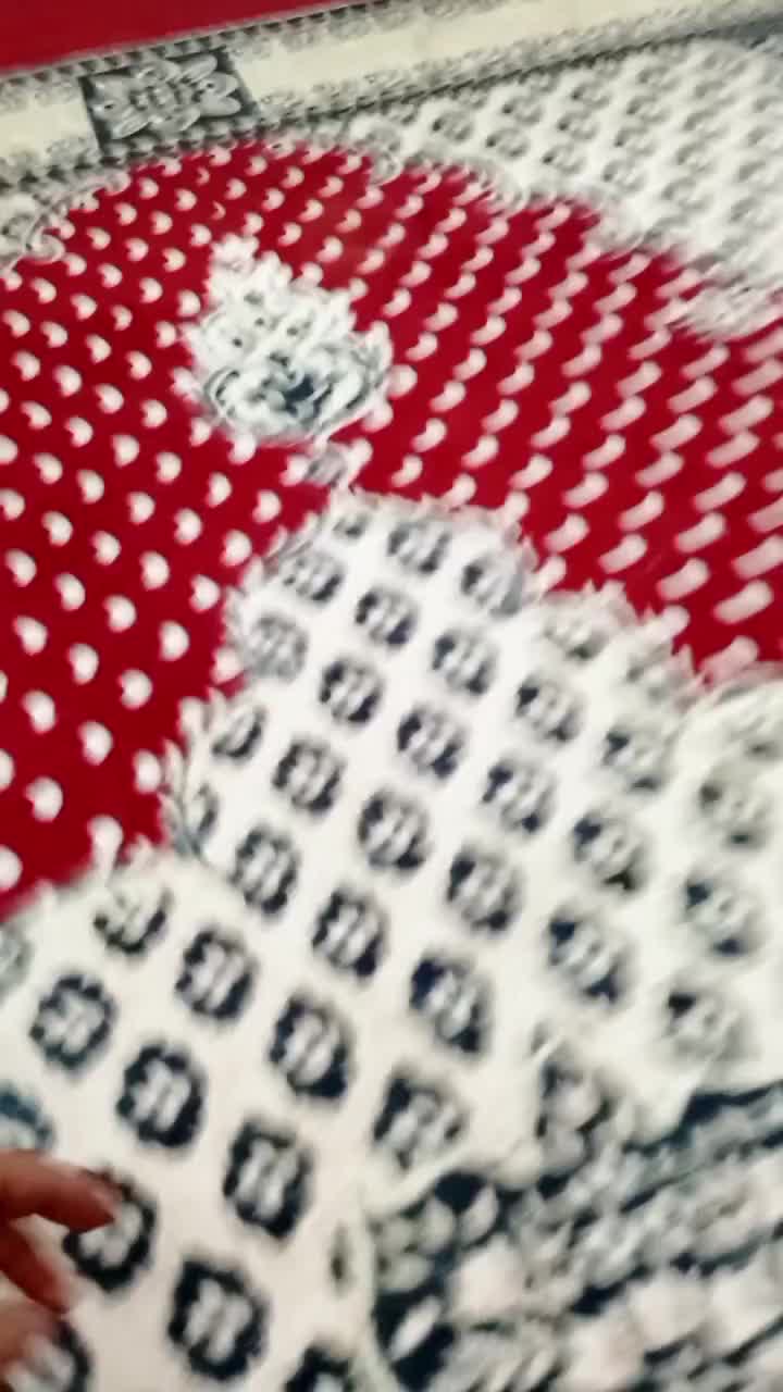 سگ اشپیز پامر|سگ|بندرعباس, |دیوار