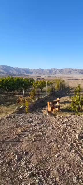 باغ نزدیک جلفا نزدیک جاده اصلی|فروش خانه و ویلا|جلفا, |دیوار