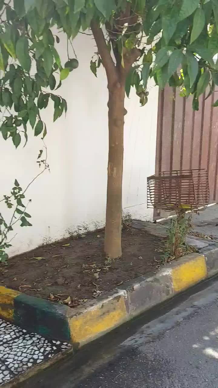 اجاره روزانه/هفتگی/ماهانه آپارتمان ۴۵ متری|اجارهٔ کوتاه‌مدت آپارتمان و سوئیت|فریدون‌کنار, |دیوار