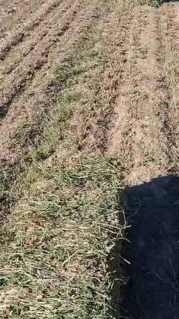 پرس یونجه باکیفیت|عمده‌فروشی|گنبد کاووس, |دیوار