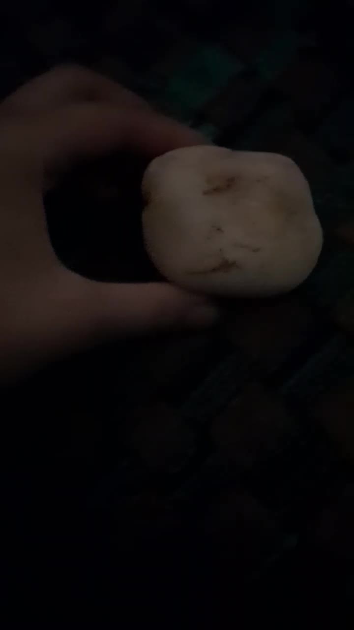 سنگ قیمتی|کلکسیون اشیاء عتیقه|مرودشت, ثبت احوال|دیوار