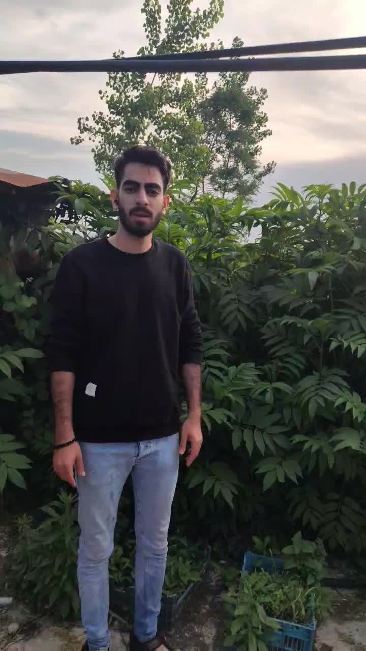 انواع ماهی پرورشی بچه کپور و آمور|ماهی|کرمانشاه, |دیوار