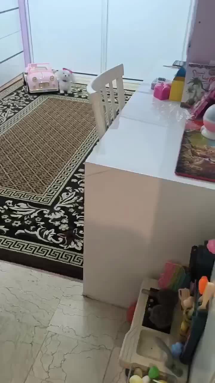 کمد دیواری کابینت نصب اجرا|خدمات پیشه و مهارت|تهران, نیروی هوایی (پیروزی)|دیوار