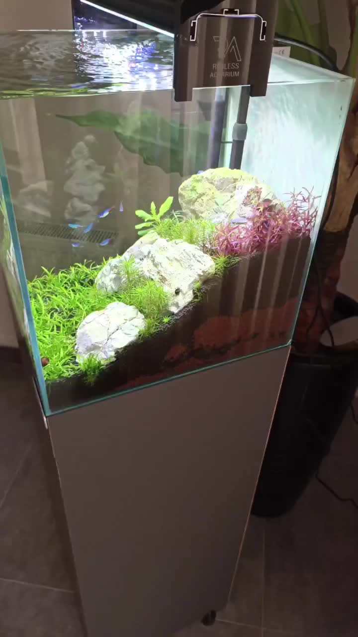 آکواریوم پلنت فروش فوری زیر قیمت|ماهی|قم, پردیسان|دیوار