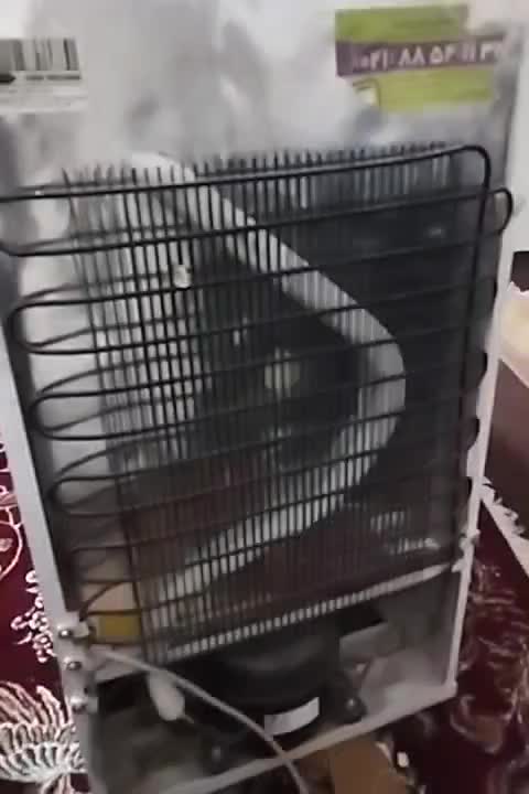 یخچال5 فوت|یخچال و فریزر|شیراز, شهرک گلها|دیوار