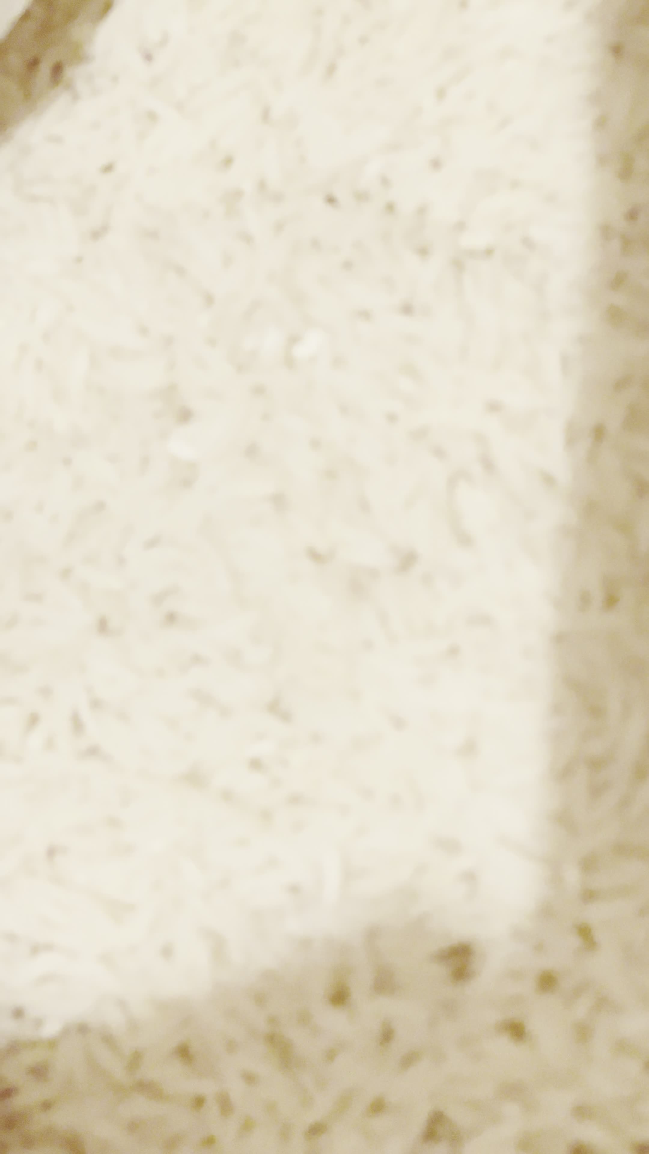 برنج طارم هاشمی درجه ۱|خوردنی و آشامیدنی|محمودآباد, |دیوار