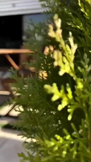 دکوراسیون منزل .جوشکاری سیار،تعمیرات دستگاه شات|خدمات پیشه و مهارت|نجفآباد, امیرآباد|دیوار