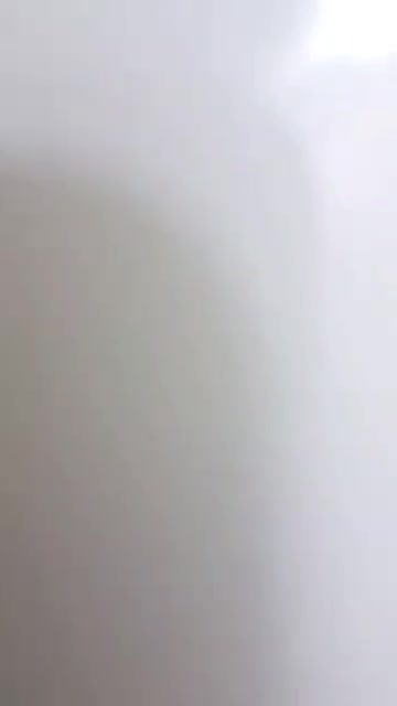 تورهای زیارتی مشهد مقدس|تور و چارتر|دزفول, |دیوار