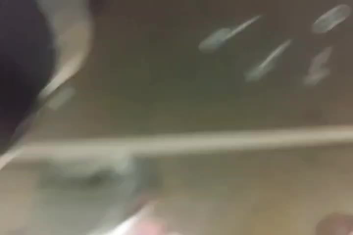 لوازم خانه|اجاق گاز و لوازم برقی پخت‌وپز|بهبهان, |دیوار