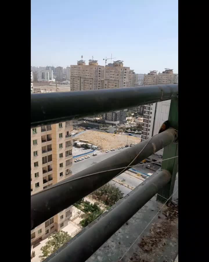فروش فوری ۸۳ متری فول امکانات نزدیک دریاچه چیتگر|فروش آپارتمان|تهران, چیتگر شمالی|دیوار