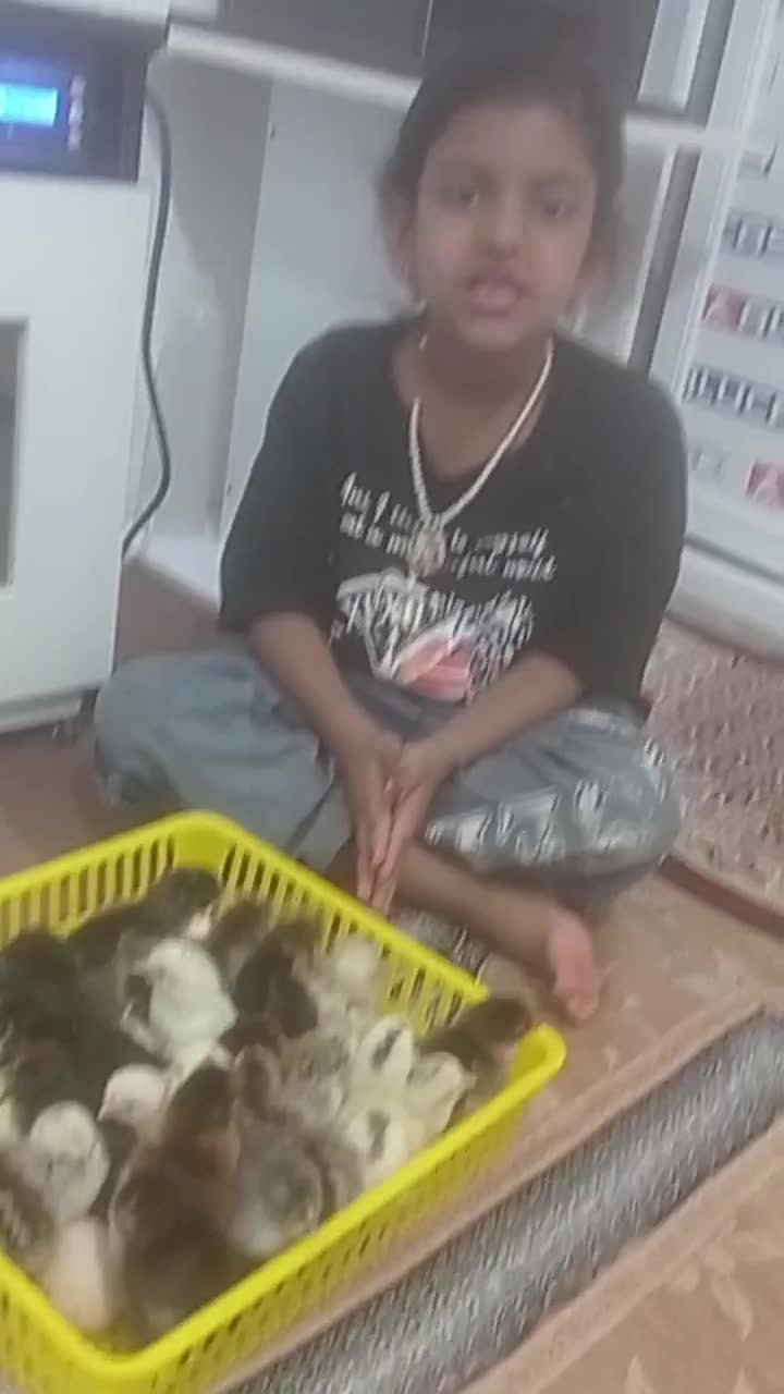 (دستگاه جوجه کشی -جنــس pvc. فومیــزه&) با اموزش|لوازم جانبی حیوانات|طبس, |دیوار