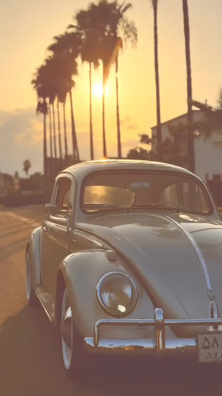 اجاره ماشین عروس خاص کلاسیک فولکس|خودرو اجارهای|آمل, |دیوار