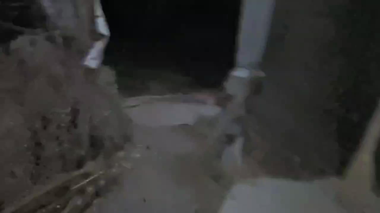 توله میکس الابای، کانگال|سگ|مشهد, خواجه ربیع|دیوار