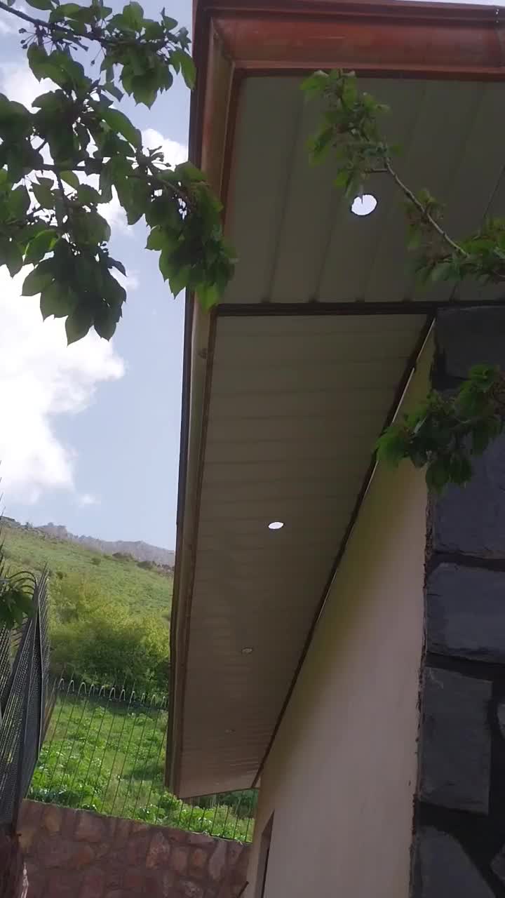 اجرای انواع سقف شیروانی با طراحی مدرن|خدمات پیشه و مهارت|تهران, بازار|دیوار