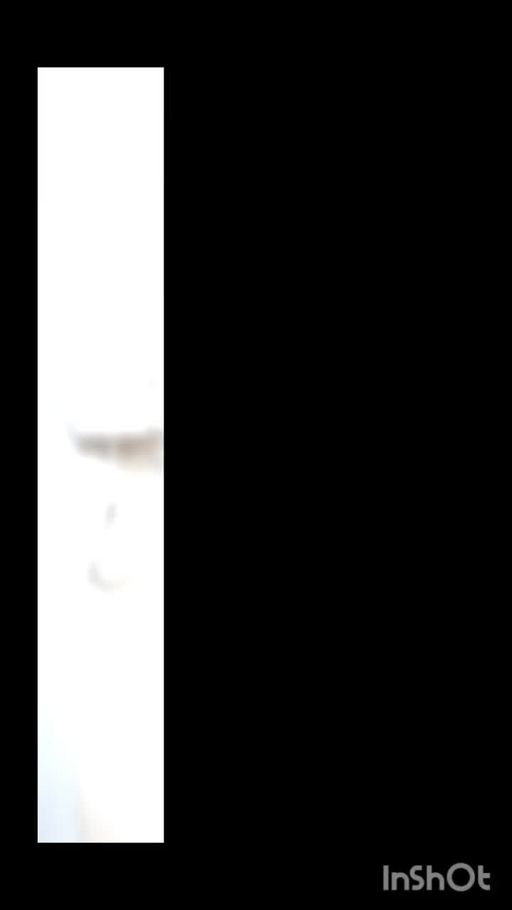 فروشگاه آیفون تصویری نوین.خدمات نصب و تعمیر آیفون|خدمات پیشه و مهارت|ایلام, |دیوار