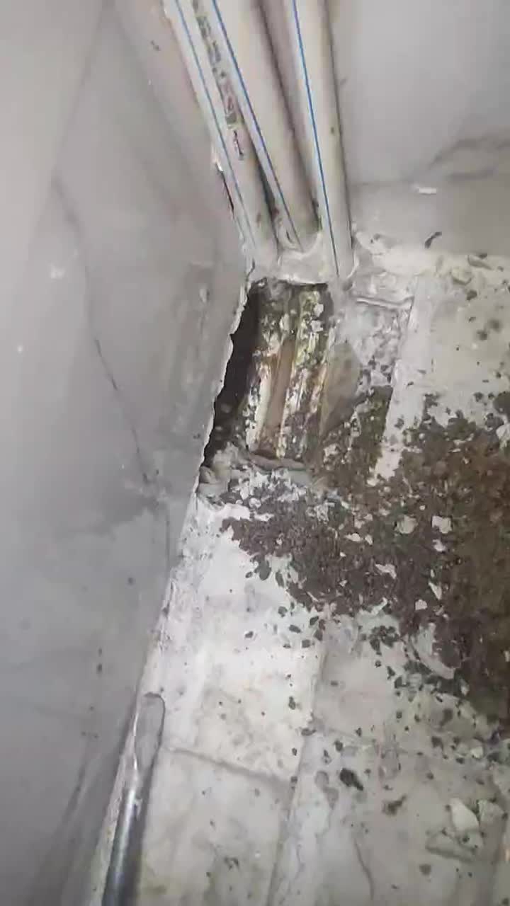 نشت یابی لوله آب و فاضلاب لوله کشی کل تهران|خدمات پیشه و مهارت|تهران, گیشا|دیوار