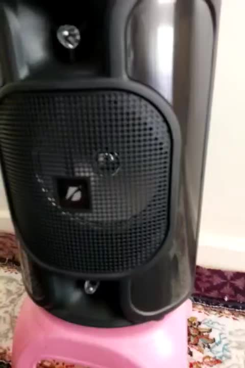 اسپیکر 8 اینچ با کیفیت عالی|پخشکننده همراه|همدان, |دیوار