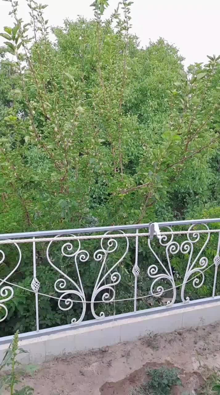 ویلا  .سوییت. خونه باغ رفاهی ۱۷۰ متری فول امکانات|اجارهٔ کوتاه‌مدت ویلا و باغ|بافت, |دیوار