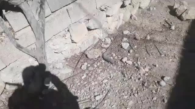 میش وبره ودوبور قوچ|حیوانات مزرعه|میانکوه, |دیوار