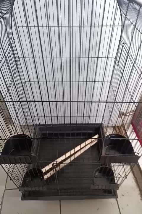 قفس ۴ لیوانه پرنده|لوازم جانبی حیوانات|تهران, سید خندان (جلفا)|دیوار