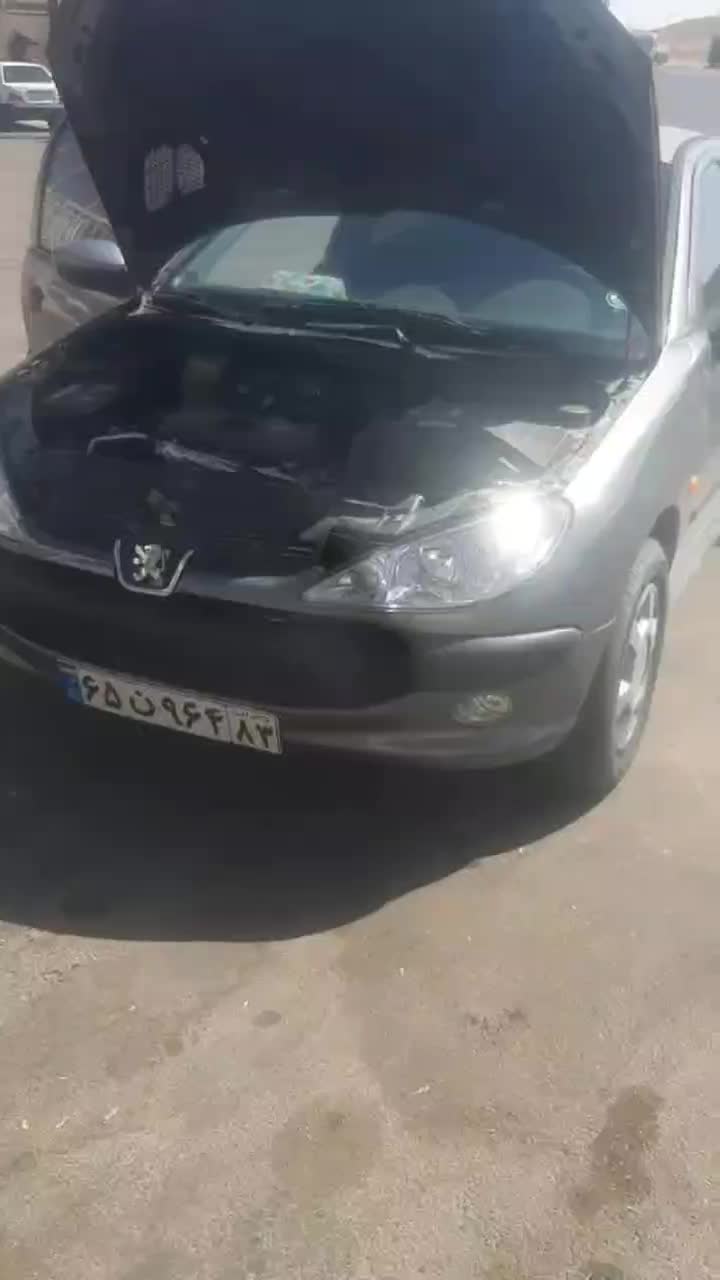 206تیپ 2مدل 86|خودرو سواری و وانت|شیراز, باغ تخت|دیوار