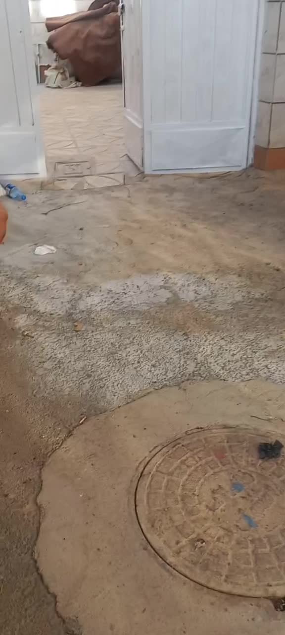 رهن خانه ویلایی ۱۱۷ متری ۲ خوابه در حاجی آباد|اجارهٔ خانه و ویلا|شاهینشهر, حاجی آباد|دیوار