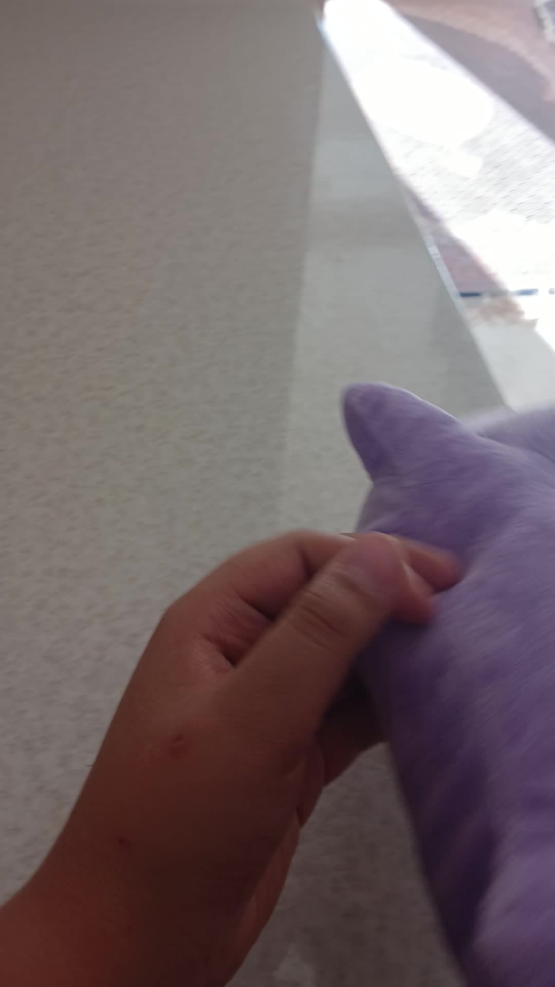 عروسک تک شاخ|اسباب‌بازی بچه|اردبیل, |دیوار