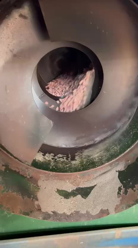 بادام|خوردنی و آشامیدنی|پارس‌آباد, |دیوار