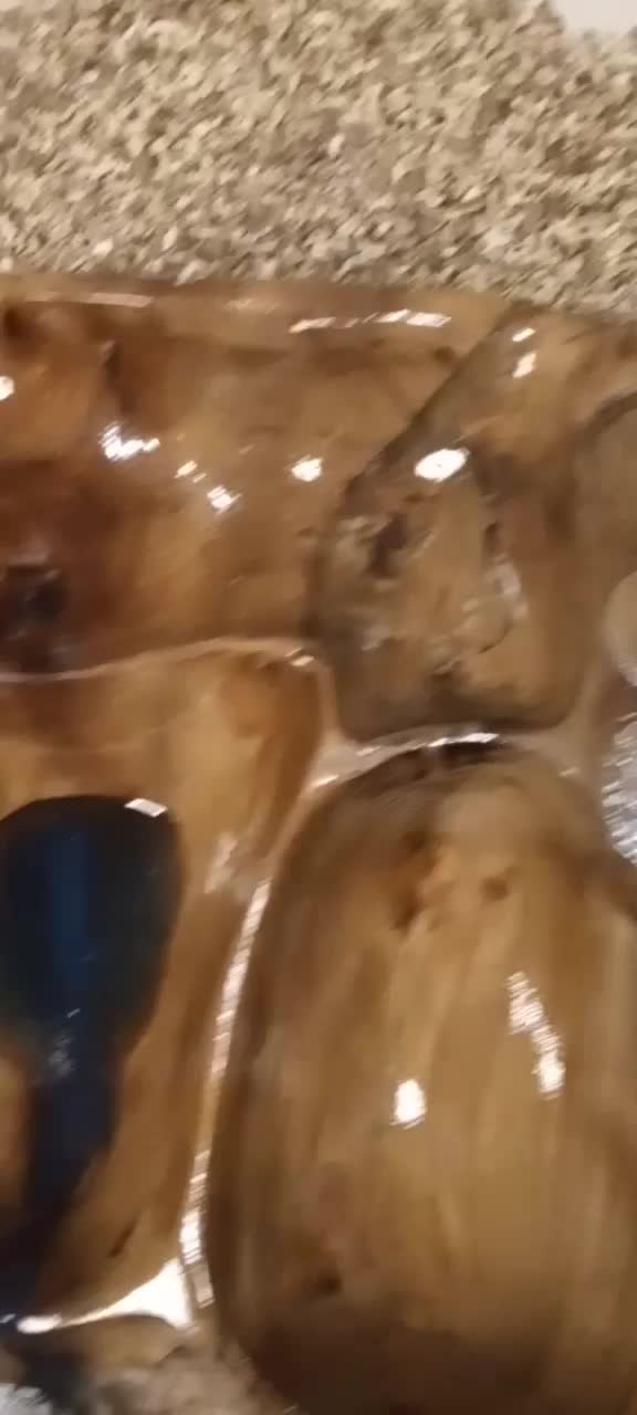 انواع روستیک دفورمه چوب گردو|ظروف سرو و پذیرایی|کرج, اتحاد|دیوار