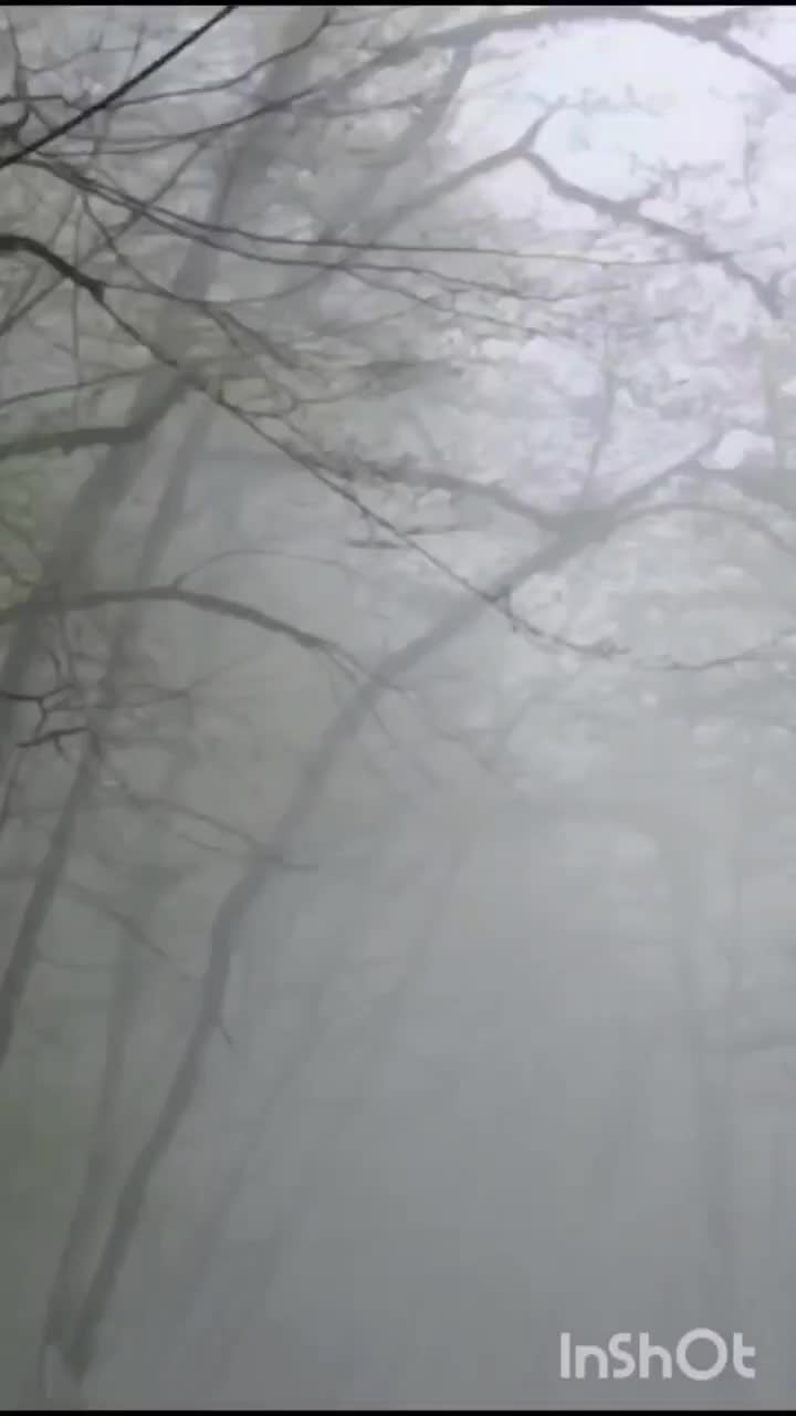 ارائه خدمات سرویس دربستی|خدمات حمل و نقل|عجب شیر, |دیوار