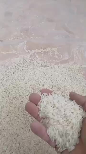 برنج طارم هاشمی اصیل محمودآباد|خوردنی و آشامیدنی|تهران, بوستان سرخه حصار|دیوار