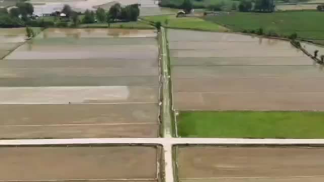 زمین در رشت فومن|فروش زمین و ملک کلنگی|ماکلوان, |دیوار