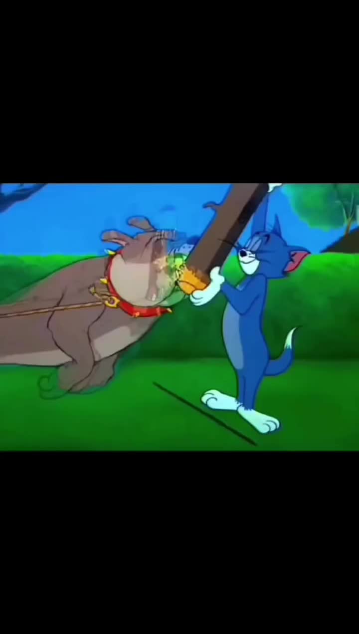 فنس ، سیم خاردار ، مفتول گالوانیزه ، پایه فنس|خدمات باغبانی و درختکاری|ابهر, |دیوار