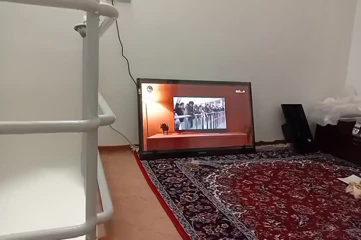 الیدی ۴۳سامسونگ|تلویزیون و پروژکتور|زابل, |دیوار