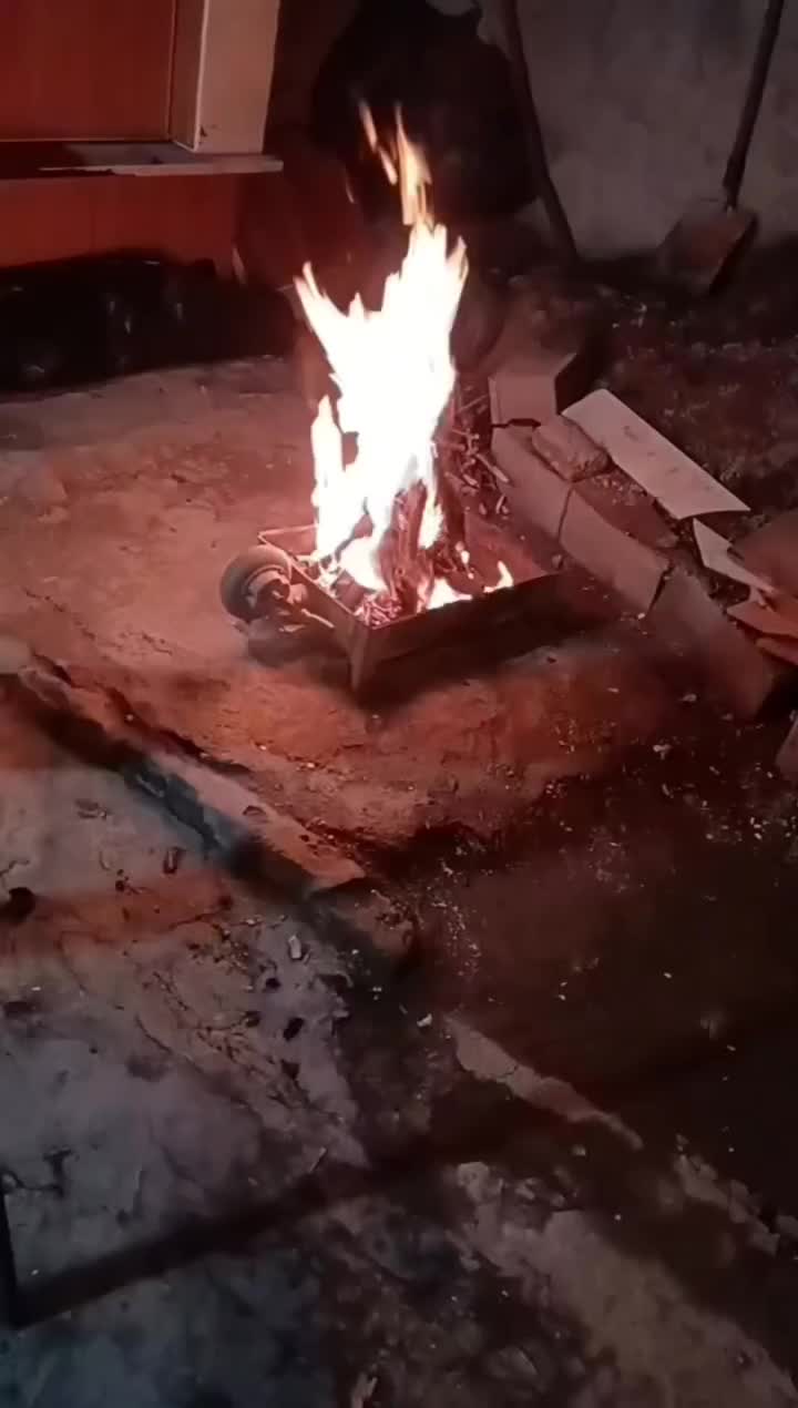 سگ پاکوتاه نر|سگ|خان ببین, |دیوار