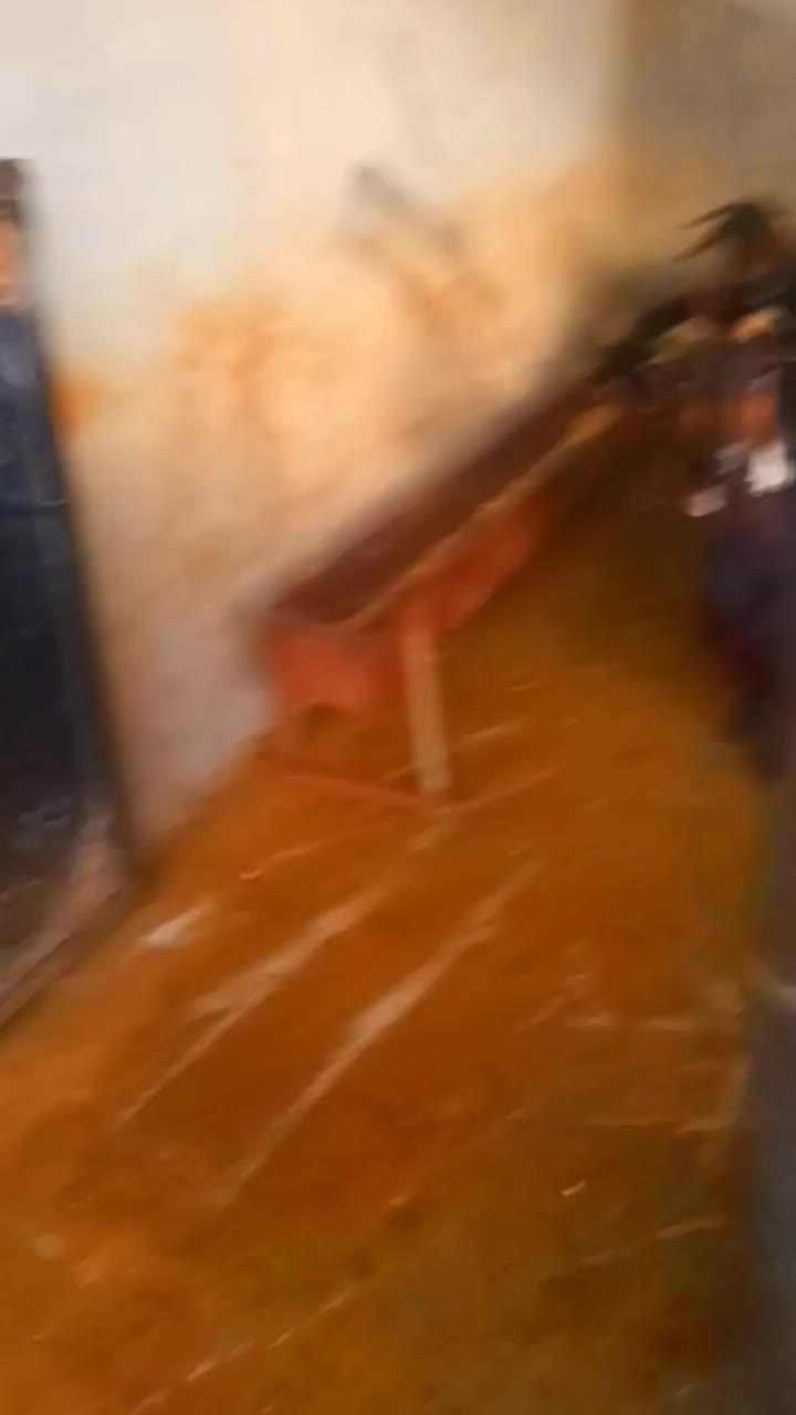 تیبز|حیوانات مزرعه|ایذه, |دیوار