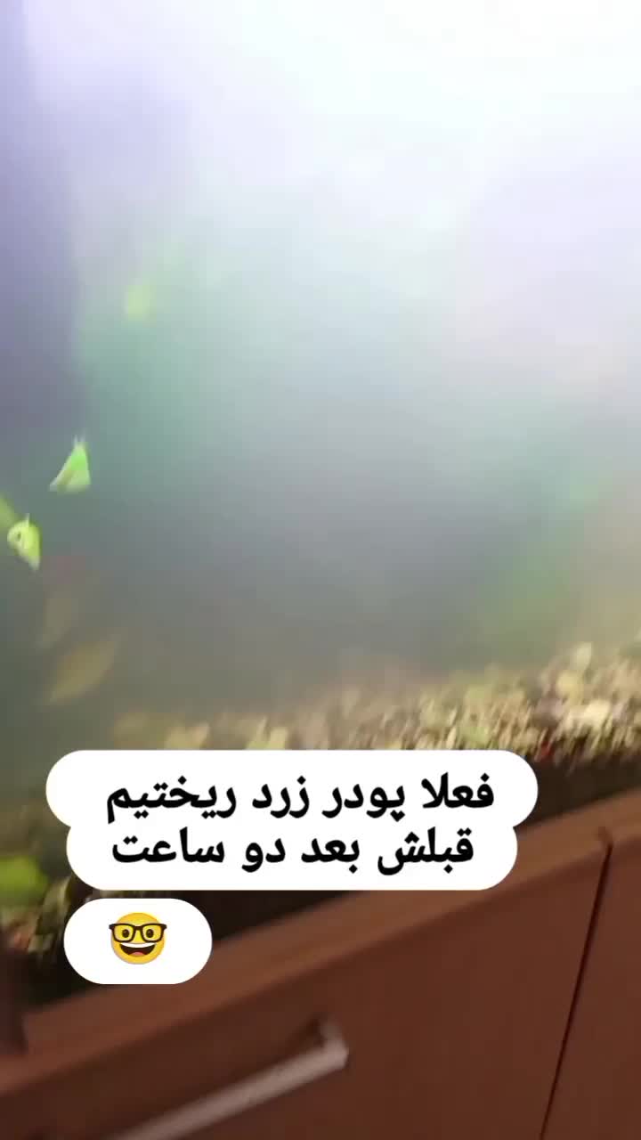 سرویس آکواریم|ماهی|تهران, استقلال|دیوار