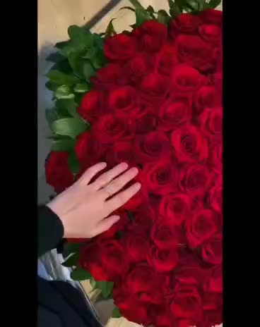 گل رز برای روز مادر|گل و گیاه طبیعی|سوسنگرد, |دیوار