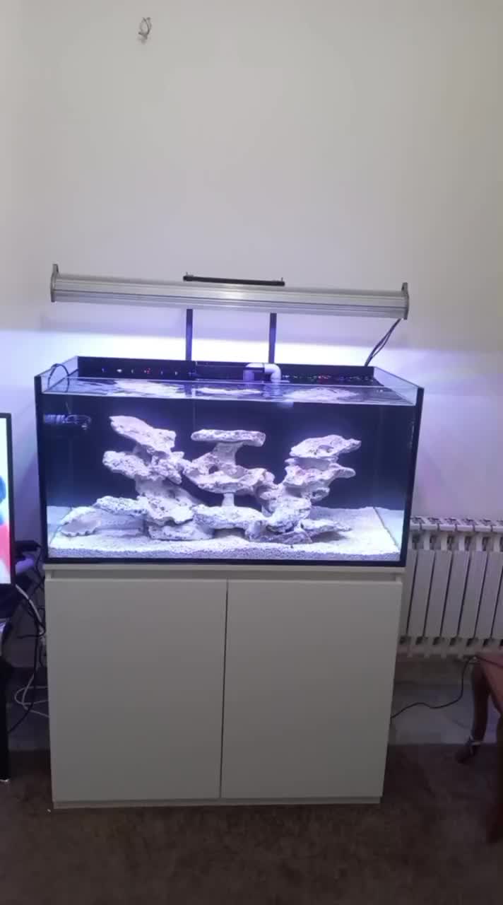 فروش اکواریوم آب شور کامل|ماهی|تهران, شهرک آزمایش|دیوار